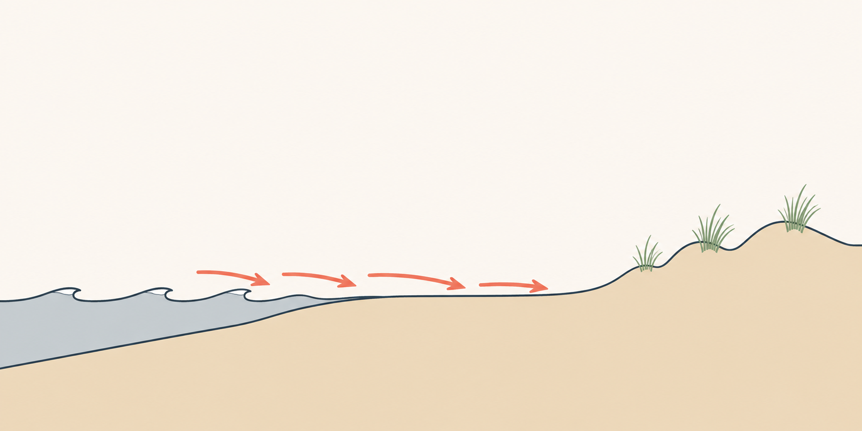 Querschnitt einer Flachküste: flaches Wasser mit kleinen Wellen links, ein breiter Sandstrand in der Mitte, rechts niedrige Dünen mit Strandhafer. Pfeile über dem Wasser zeigen zum Land — das Meer lagert dort Sand ab.