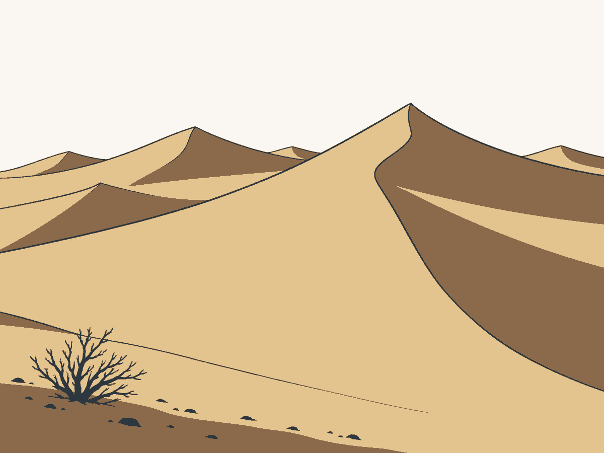 Sanddünen mit scharfen Kämmen, lange Schatten, nichts wächst, nur ein kleiner trockener Strauch am unteren Bildrand.